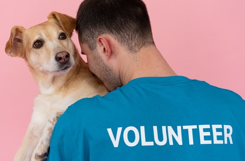 Take The Lead Dog Shelter Program from Pawsitive Behavior K9 Training