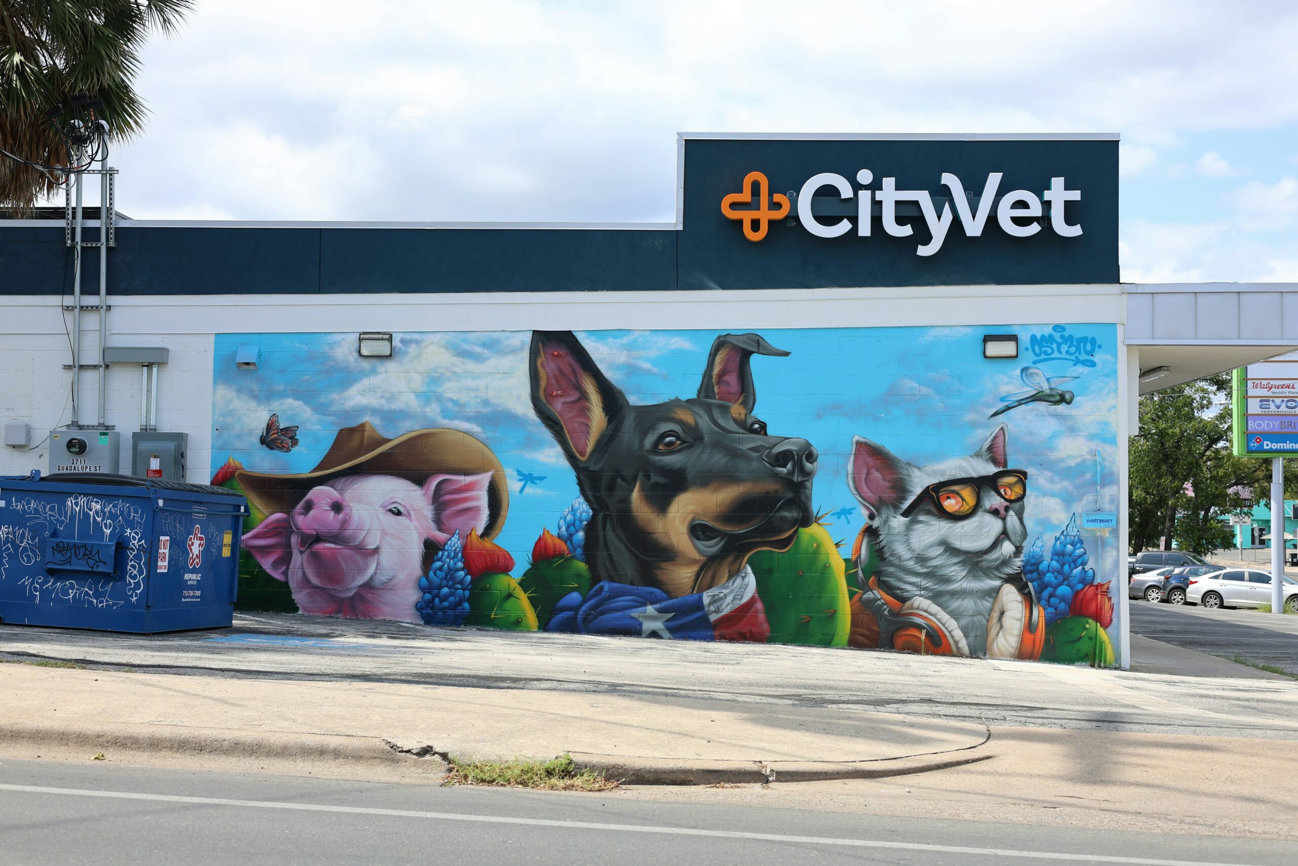 wei-liang-y2vRx1uzrx8-unsplash Take The Lead Dog Shelter Program from Pawsitive Behavior K9 Training